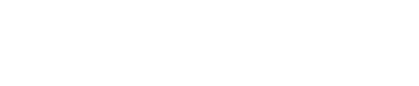 AI Fractional Team